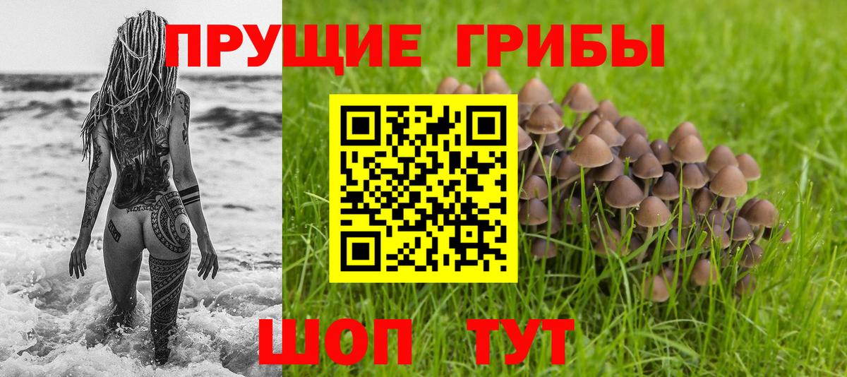 Псилоцибиновые грибы Psilocybe Волжский