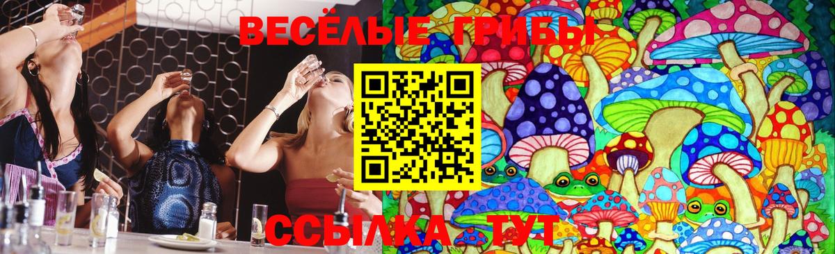 Галлюциногенные грибы GOLDEN TEACHER  Вход с VPN  Волжский  Псилоцибиновые грибы Magic Shrooms 